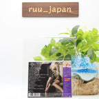 BRITNEY SPEARS-FEMME FATALE-JAPAN CD BONUS TRACK New