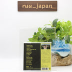 Wet Leg Lyrics Manual included Additional 2 bonus tracks JAPAN CD NEW