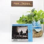 Oasis-Whatever-JAPAN CD New
