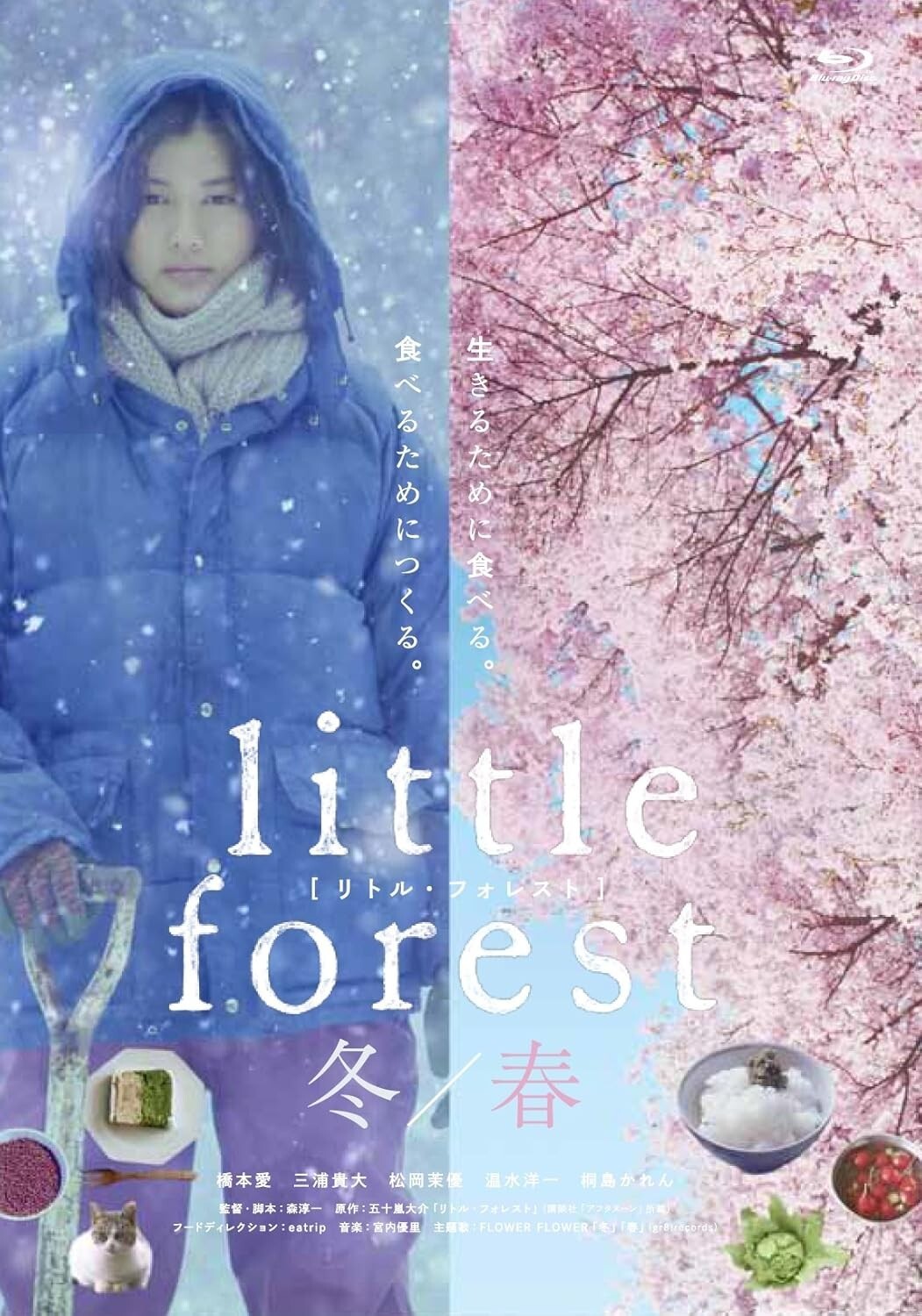 New Little Forest vol.2 Fuyu Haru Winter Spring DVD Japanese