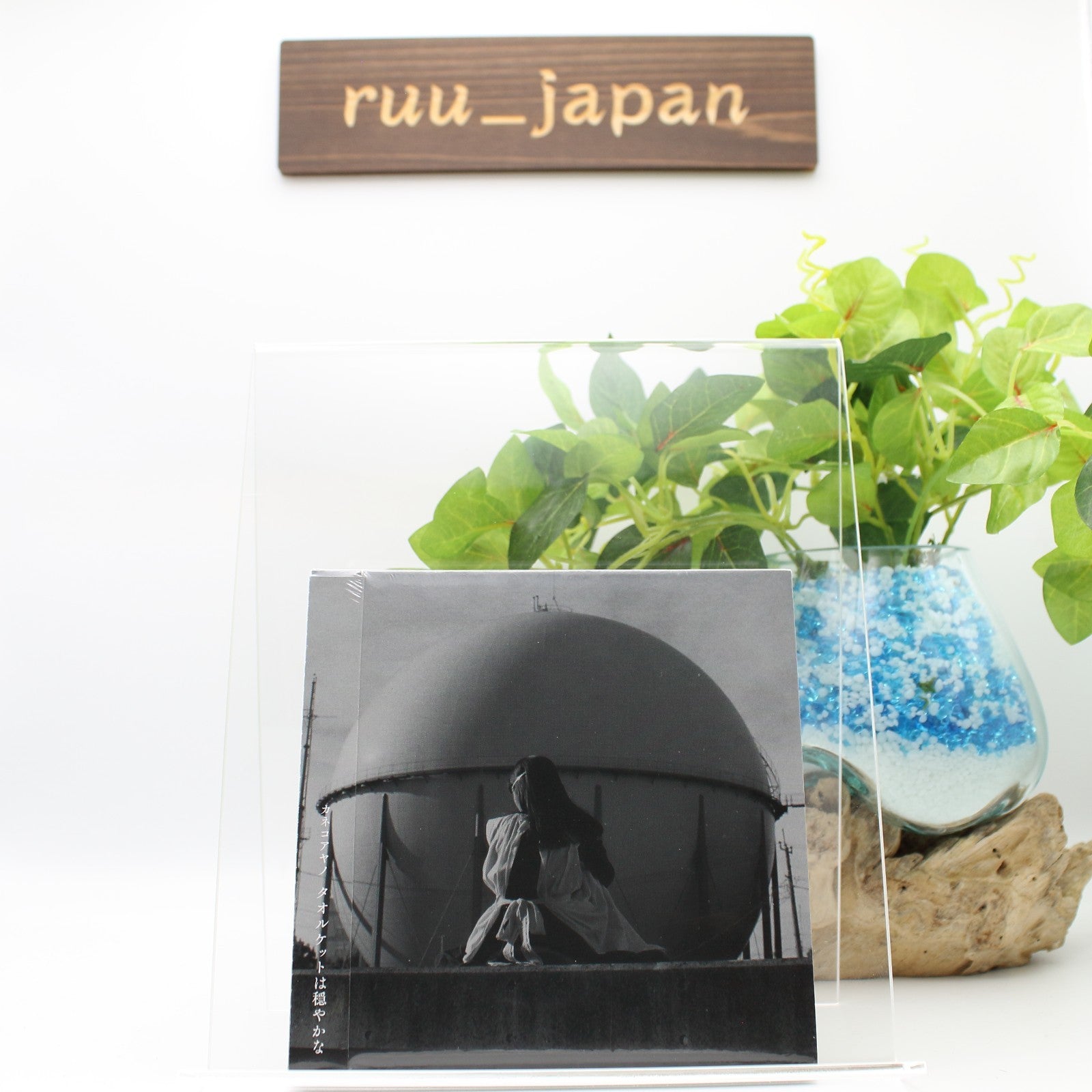 Kaneko Ayano / Towelket Ha Odayaka Na 2023 CD Japan New