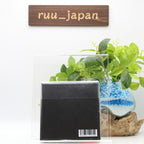 Queens of the Stone Age In Times New Roman… 500 Sets Limited Edition Box New