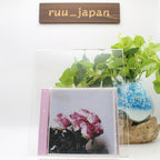 New Minuano / Love Logic 2009 CD Japan Lamp