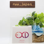 EXID UP&DOWN JAPANESE VERSION Limited Edition Type B CD DVD Booklet Card NEW