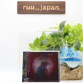 New KINGS OF MERCIA BATTLE SCARS  JAPAN CD