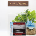 New Bruce Springsteen CD Nebraska Remastered Edition Japan OBI E