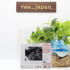 GOGO PENGUIN FROM THE NORTH LIVE IN MANCHESTER BONUS TRACK JAPAN BLU-SPEC CD NEW