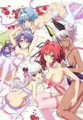 Blu-ray Shinmai Maou no The Testament of Sister New Devil BURST Vol.4