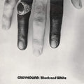 CD New Greyhound - BLACK & WHITE +3 [CD]