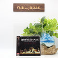 WHITESNAKE LIVE IN THE UK 1978 JAPAN CD NEW