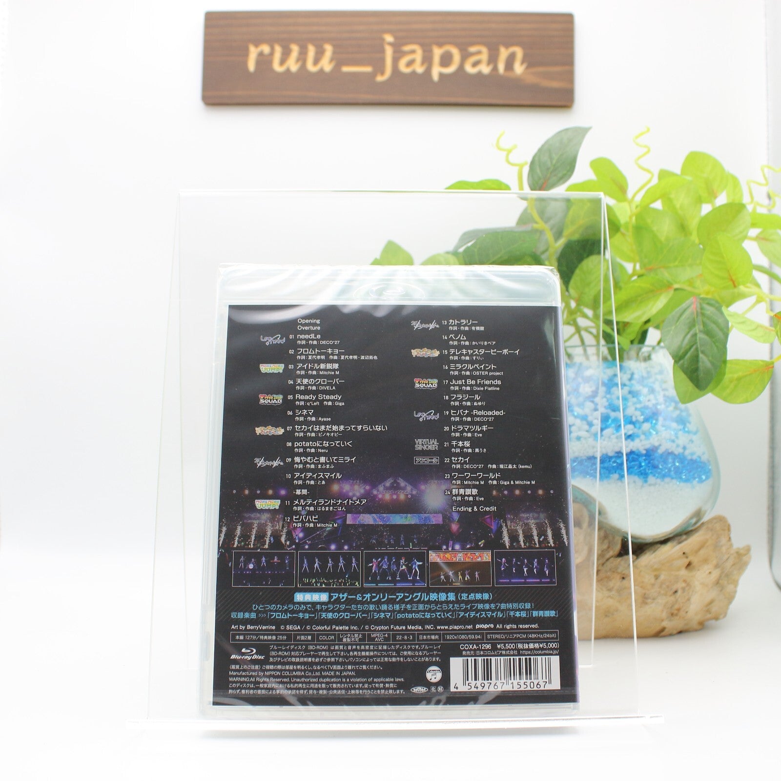 Project Sekai COLORFUL LIVE 1st - Link - [Blu-ray] New