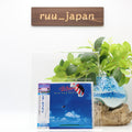 air supply Now and Forever Japan Music CD New