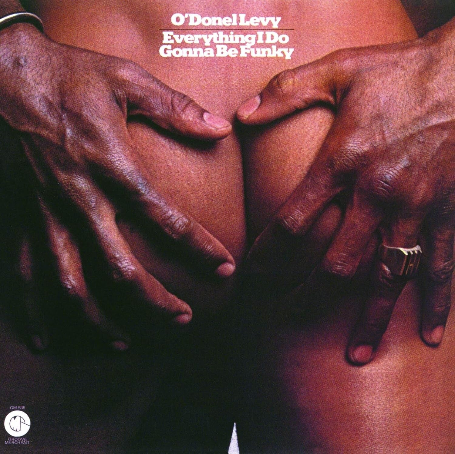 New ODonnell Levy Everything I Do Gonna Be Funky Japan Music CD