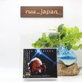 VAN MORRISON-ITS TOO LATE TO STOP NOW - VOL.2,3,4 DVD-JAPAN CD New