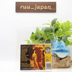 Shadow Show Fantasy Now! Japan Music CD NEW