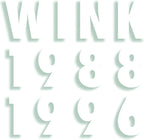 WINK MEMORIES 1988-1996 Limited Edition 2 CD Japan New