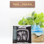 New PATTO Monkey’s Bum JAPAN MINI LP SHM CD
