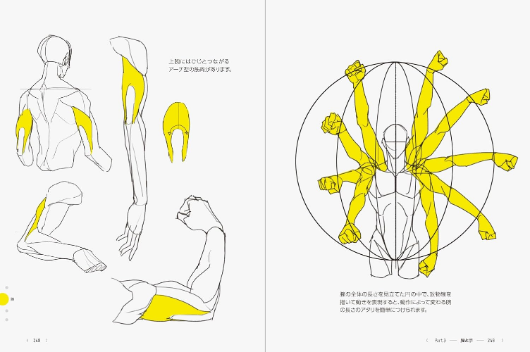 New Taught by TACO! 390 Tips to Improve Your Figure Drawing Skills Art Book