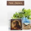 STEVIE WONDER Best Collection JAPAN MQA/UHQCD NEW