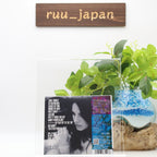 LANA DEL REY ULTRAVIOLENCE JAPAN EDITION CD 15 Songs incl 4 BONUS TRACKS New
