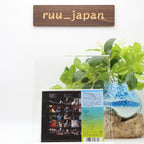 Mahavishnu Orchestra CD The Inner Mounting Flame Japan NEW