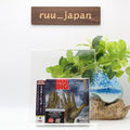 New MR. BIG TEN JAPAN EDITION MQA-CD  Bonus Track
