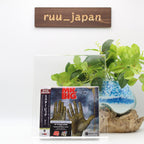 New MR. BIG TEN JAPAN EDITION MQA-CD  Bonus Track