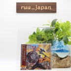 New Riot Armor of Light [Limited Edition] 2CD Japan Music CD