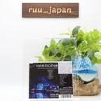 New Harmonious Globally Inspired Music from the Epcot Nighttime Spectacular CD