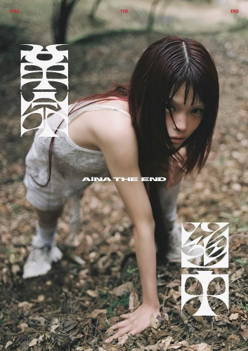 New Aina the End On The Way MV+Live Edition CD Blu-ray AVCD-61575B Japan
