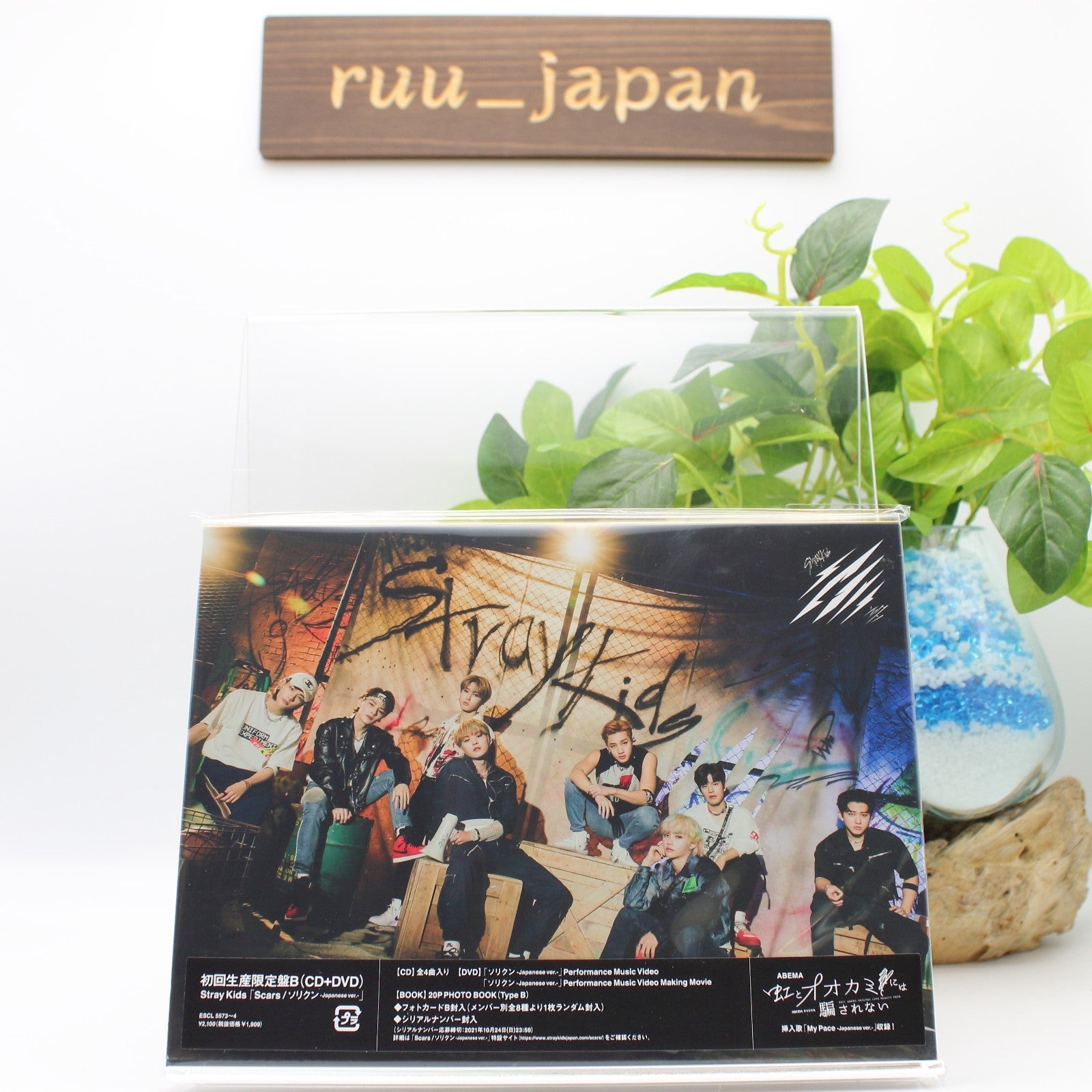New Stray Kids Scars Thunderous First Limited Edition Type B CD DVD Photobook