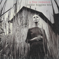 New Eddie Higgins/Fine Romance: Wonderful Romance (180g heavyweight VHJD00251