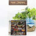 New Kiss CD(SHM-CD) Unmasked Japan OBI
