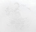 New [CD+Blu-ray] Shiroiro Kagerou First Press Limited Edition Aimer