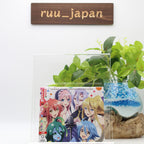 Monster Musume no Iru Nichijou Everyday Life with Monster Girls Album 2 CD New
