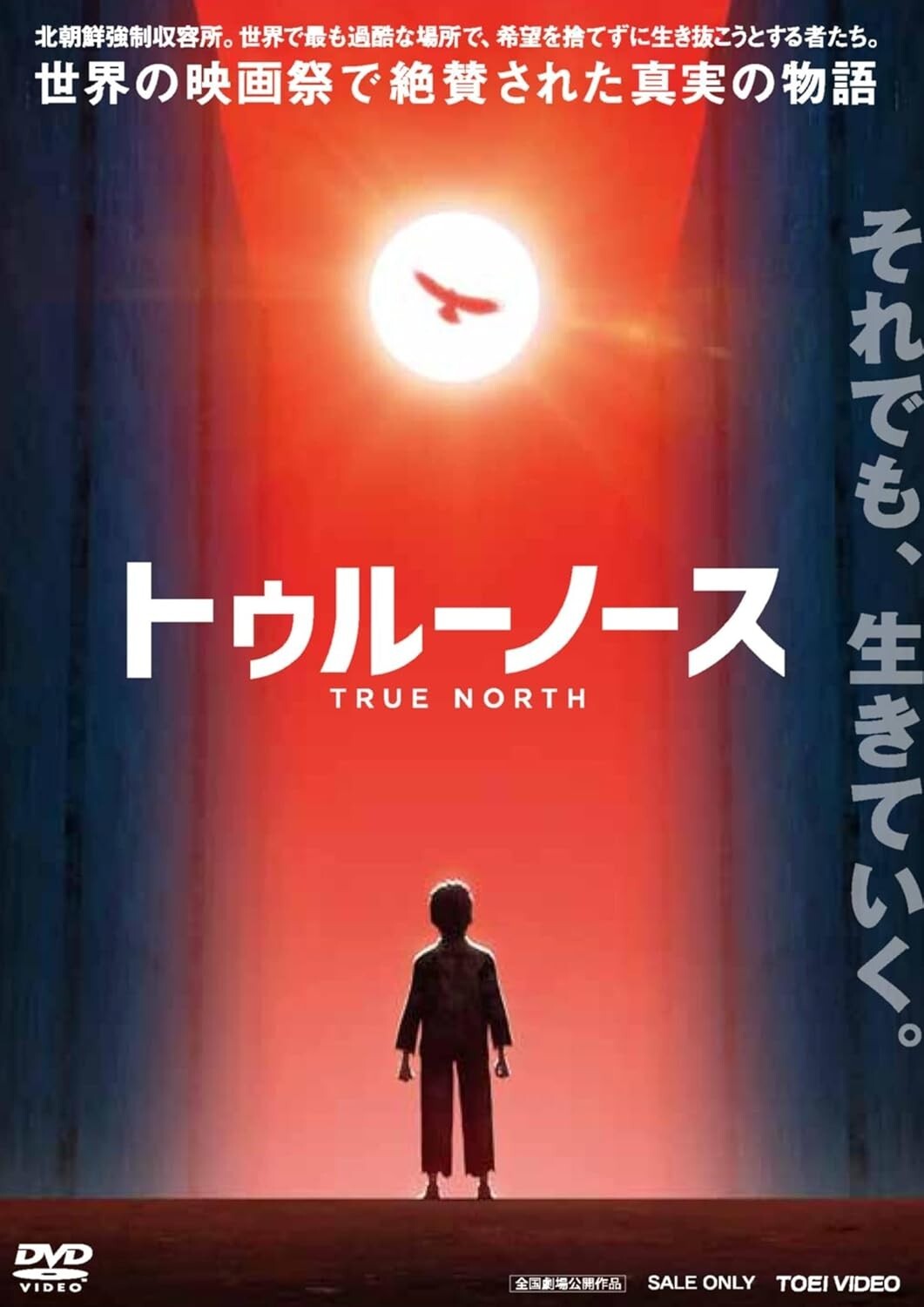 New TRUE NORTH (DVD1)
