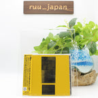 SHINEDOWN-ATTENTION ATTENTION-JAPAN CD New