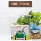 CASIOPEA MINT JAMS (1982) ISSEI NORO JAPAN CD New