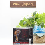 NITRATE Open Wide CD From Japan New