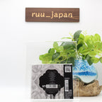 POLYPHIA-RENAISSANCE-JAPAN BONUS TRACK NEW