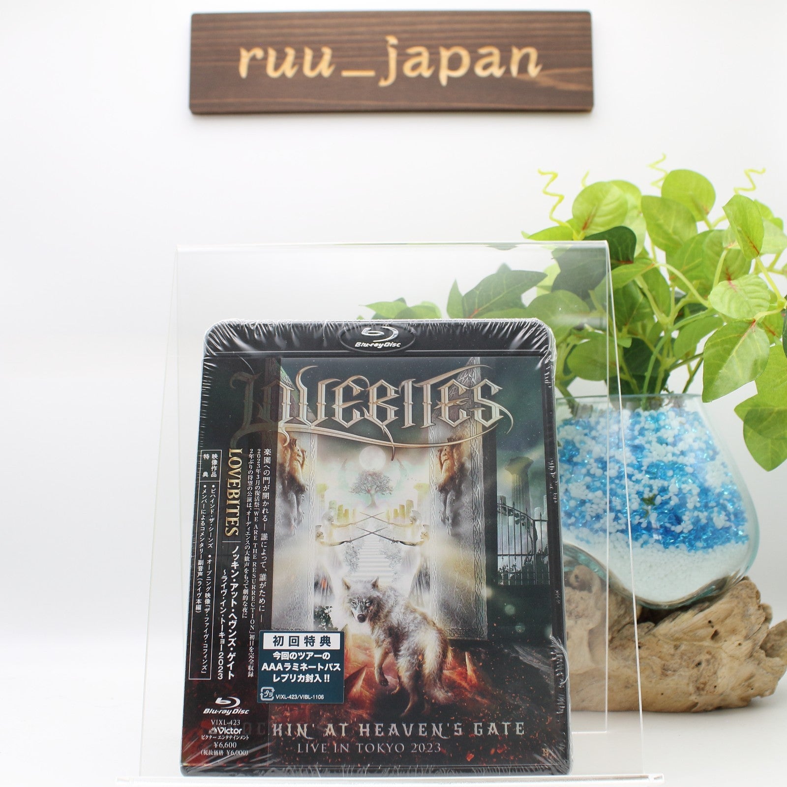 LOVEBITES KNOCKIN AT HEAVENS GATE LIVE IN TOKYO 2023 Blu-ray VIXL-423 New