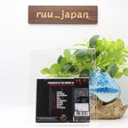 THE WINERY DOGS III  2023 JAPAN BLU-SPEC CD From Japan NEW