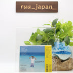 MASAYOSHI TAKANAKA-UKULELE. SEYCHELLES-JAPAN CD NEW