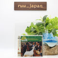 New THE BEACH BOYS PET SOUNDS (MONO&STEREO) JAPAN SHM CD
