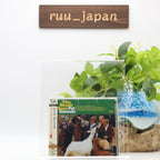 New THE BEACH BOYS PET SOUNDS (MONO&STEREO) JAPAN SHM CD