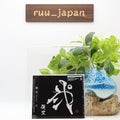 Yuuri Ni Regular Edition CD BVCL-1311 New