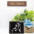 Yuuri Ni Regular Edition CD BVCL-1311 New