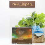 New GALNERYUS THE STARS WILL LIGHT THE WAY JAPAN CD