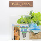 New JULIE LONDON THE END OF THE WORLD JAPAN MINI LP CD