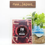 New Kowasugi! Kowasugi! Blu-ray BOX First Press Edition 11-discs ALBSB-0059